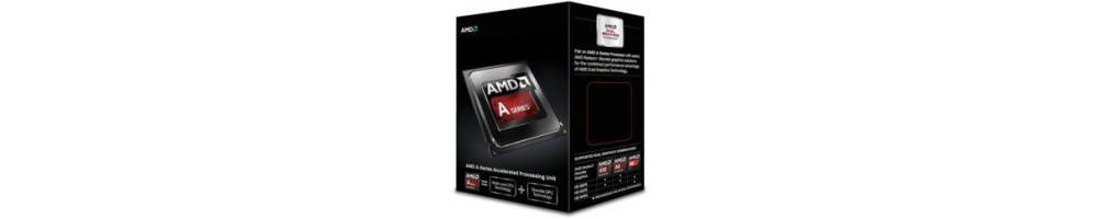 Socket AMD FM2+